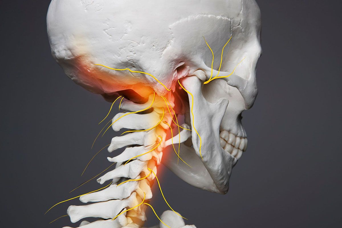 Skeleton neck with orange highlighting on neck